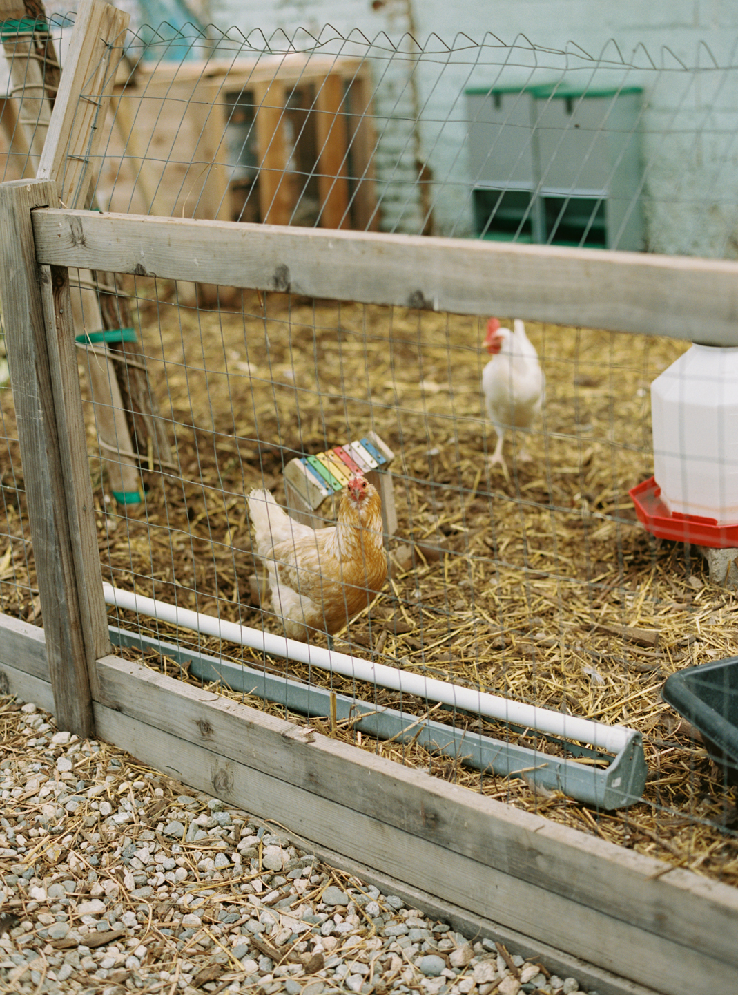 Hauser & Wirth Building Chickens in Coop